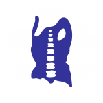 Medical equipment icon showing scoliosis brace